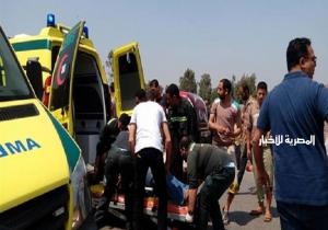 ارتفاع أعداد ضحايا حادث طريق أبو سمبل إلى 8 أشخاص.. ومحافظ أسوان يوجه بمتابعة حالة المصابين