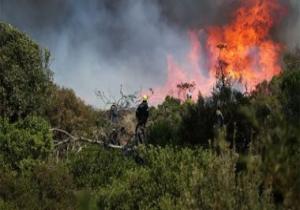 رئيسة المفوضية الأوروبية: إعادة النظر فى إنشاء قاعدة طائرات لمكافحة الحرائق بقبرص