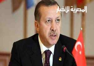 أردوغان:..ما حدث في مصر مختلف تماما عن محاولة الانقلاب بتركيا