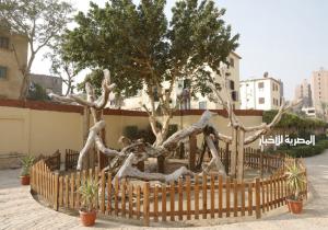 نائب محافظ القاهرة يكلف بسرعة إنهاء أعمال تطوير منطقة "شجرة مريم"