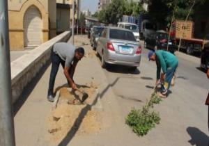 محافظة القاهرة تجمل حى السيدة زينب بأيدى عمال هيئة النظافة