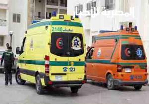 إصابة 7 أطفال في حادث سقوط لعبة بملاهي الكردي في الدقهلية