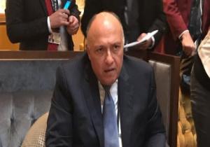 وزير الخارجية: التنسيق بين مصر والإمارات العربية أعاد الاستقرار للمنطقة