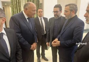 وزير الخارجية يقدم واجب العزاء فى الرئيس الإيرانى الراحل إبراهيم رئيسي ووزير خارجيته