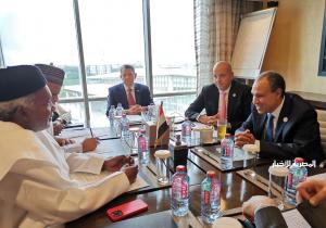 وزير الخارجية يعقد مباحثات مع نظيره النيجيري على هامش الاجتماع التنسيقي السادس للاتحاد الإفريقي في غانا
