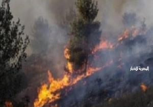 القاهرة الإخبارية: مستوطنون يشعلون النيران بممتلكات الفلسطينيين جنوب نابلس
