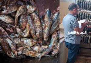ضبط 500 كيلو جرام أسماك مدخنة ومملحه منتهية الصلاحية وتحرير 94 محضر جنح صحية بالبحيرة